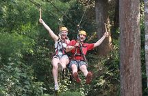 Jungle Flight Zipline Adventure From Chiang Mai
