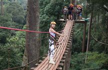 Jungle Flight Zipline Adventure From Chiang Mai