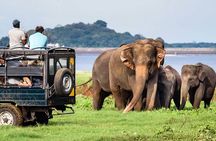 9-Day Private Sri Lanka Tour with Accomodation