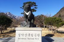 Full-Day Tour in Mt. Seorak & Nami (+Rail Bike Option)
