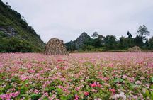 Ha Giang Loop 3D/2N Private Tour with Easy Rider 
