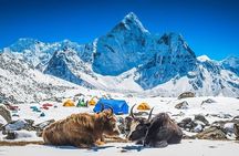 Everest Base Camp Trek 14 days With Expedia Holiday 