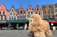 Private Full-Day Trip to Bruges&Ghent from Brussels with tastings