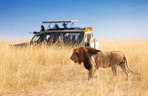 3 Days - 2 Nights Maasai Mara from Nairobi