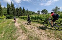 Valtenesi bike tour with lake view and wine tasting from Moniga