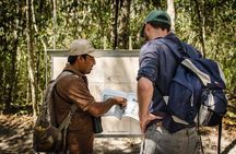 Calakmul Ancient Maya City Tour From Xpujil