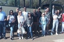 Day safari in Pilanesberg National Park 