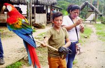 Full Day Tour to the Jungle of Puyo