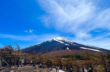 Mt. Fuji & Hakone Tour Tokyo hotel pick-up by Grayline