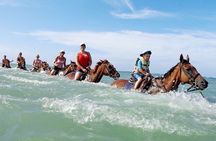 Private Bamboo Rafting and Horseback Riding from Ocho Rios 