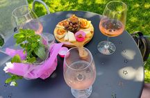 E-Bike Tour and wine tasting in Lazise Countryside