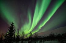 Aurora Safari Chase by big bus, free Photos, toilet onboard