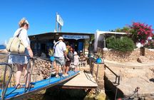 3-Hour Northwest Coast Excursion: Aquarium and Islas Margaritas