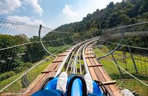 Pongyang Jungle Coaster and Zipline Chiang Mai