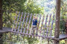 Pongyang Jungle Coaster and Zipline Chiang Mai