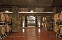 Winery Trapiche + Laur + Lunch in Tempus Alba. Private transfer