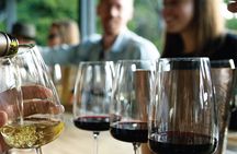 Winery Trapiche + Laur + Lunch in Tempus Alba. Private transfer