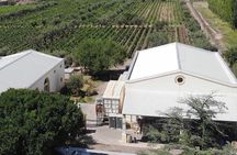 3 Wineries & Olive Oil Experience with Private Transport