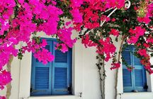 Paros Byzantine Path Ancient Greek Route Hiking Experience