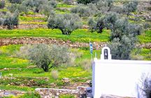 Paros Byzantine Path Ancient Greek Route Hiking Experience