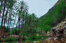 Paradise Valley Trip from Agadir