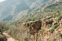 Paradise Valley Trip from Agadir