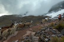 4D3N llama trek to machu picchu & sacred valley journeys 