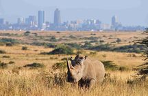 Private Half Day Tour in Nairobi National Park Safari