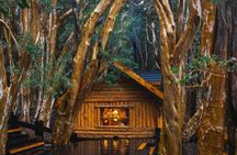 Victoria Island and Arrayanes Forest