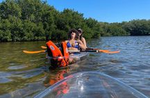 Clear Kayak Private Guided Day and Night Tours in Florida