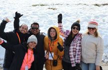 Santiago : Premium Tour to Valle Nevado Farellones
