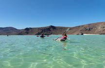 Full Day Balandra Beach, Todos Santos and La Paz Tour