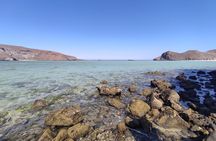 Full Day Balandra Beach, Todos Santos and La Paz Tour