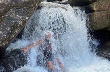 San Juan: El Yunque Waterfalls & Scenic Beach Buggy Adventure