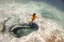 5-in-1 Cancun Snorkeling Tour with Sea Life & Transport Included