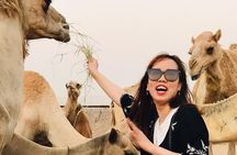 Self Drive Quad Bike in Open Desert With Sand Boarding and Camels