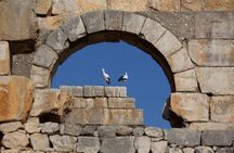 Full-Day Historical Tour to Meknes Volubilis and Moulay Idriss