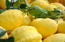 Amalfi Coast - Maiori: Path of Lemons Tour with Tasting