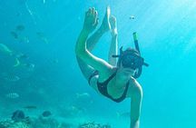 Punta Cana Exclusive Adults-Only Snorkel with Food and Drinks