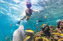 Punta Cana Private Cruise Up To 10 Snorkeling & Seafood lunch 