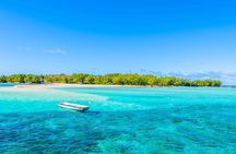 3 North Islands Catamaran Cruise with Lunch & Drinks on island.