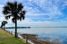 Charleston Bird Watching Tour 