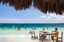 Jericoacoara Tour in 1 Day 