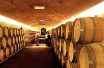 Half Day Trip to Concha y Toro Vineyard from Santiago - Wine Tasting Included