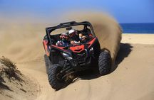 Migrino Desert & Beach Off Road Tour (Double RZR or Double ATV)