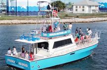 Frisky Mermaid Public Dolphin + Sightseeing Cruise Up to 49 Pax