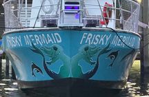 Frisky Mermaid Public Dolphin + Sightseeing Cruise Up to 49 Pax