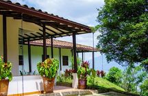 The Best Half Day Coffee Farm Tour on Medellin