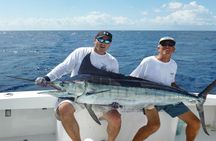 Half-Day Deep Sea Fishing Excursion Departing sosua