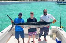 Half-Day Deep Sea Fishing Excursion Departing sosua